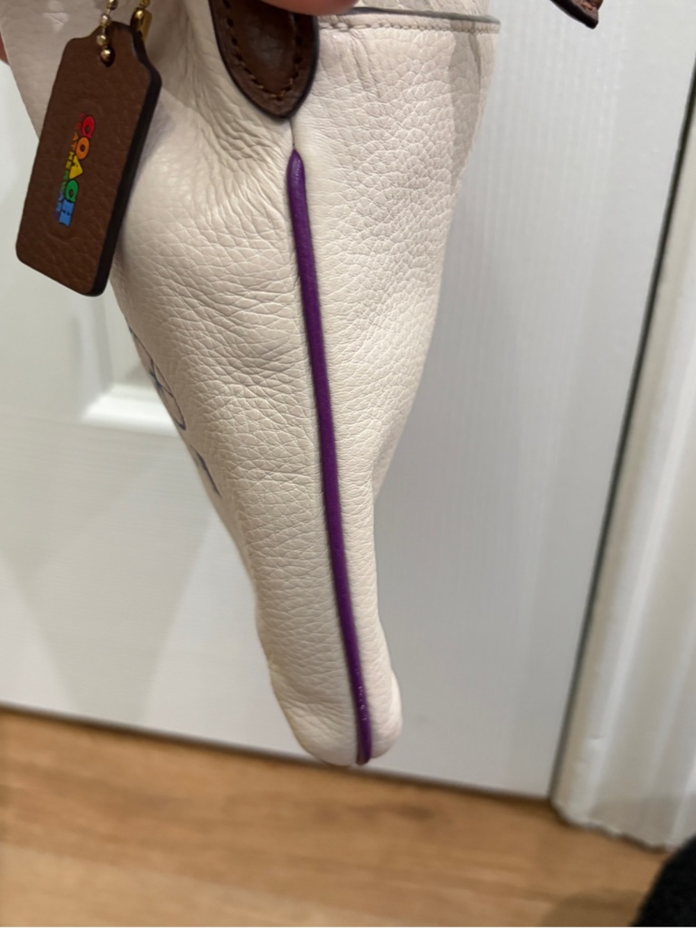 COACH Pride Cream Crossbody with Rainbow Horse & Carriage Logo - Picture 8 of 14